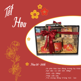 HOA TẾT 04