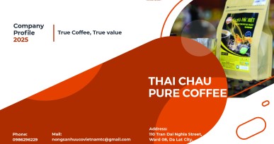HỒ SƠ NĂNG LỰC CÔNG TY THÁI CHÂU 2025