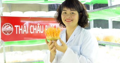     Đông Trùng Hạ Thảo Bạn Đã Thực Sự Hiểu Chưa?