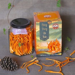 ĐỒNG TRÙNG HẠ THẢO HỦ 20GR - LOẠI 1